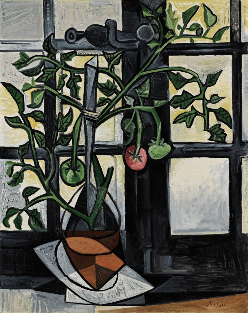 Pablo Picasso, <i>Plant de tomates </i> (1944). courtesy Sotheby's