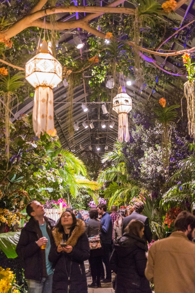Orchid Evenings at "The Orchid Show: Thailand." Courtesy of the New York Botanical Garden.