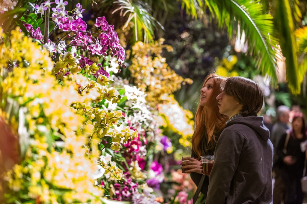 Orchid Evenings at "The Orchid Show: Thailand." Courtesy of the New York Botanical Garden.