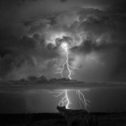 © Will Burrard-Lucas, UK, 1st Place, Professional, Natural World, 2017 Sony World Photography Awards. This image depicts a storm in Liuwa Plain National Park, Zambia. Courtesy the World Photography Organization.