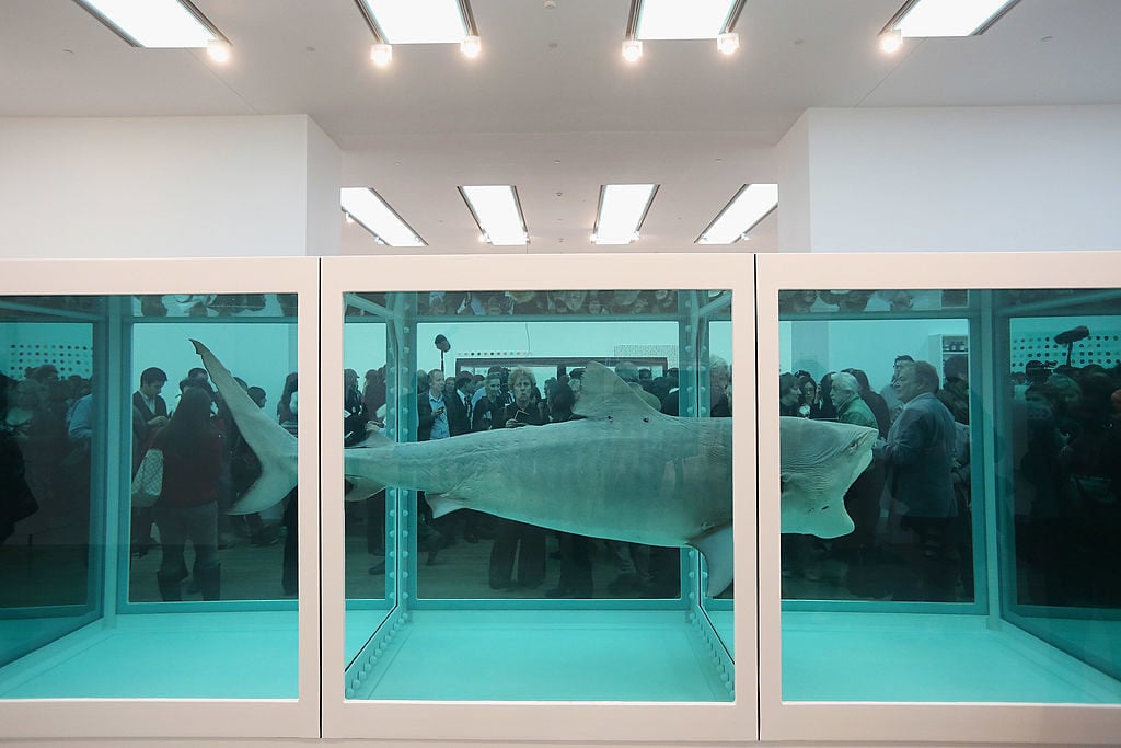 Damien Hirst, The Physical Impossibility of Death in the Mind of Someone Living (1991). Photo courtesy of Oli Scarff/Getty Images.