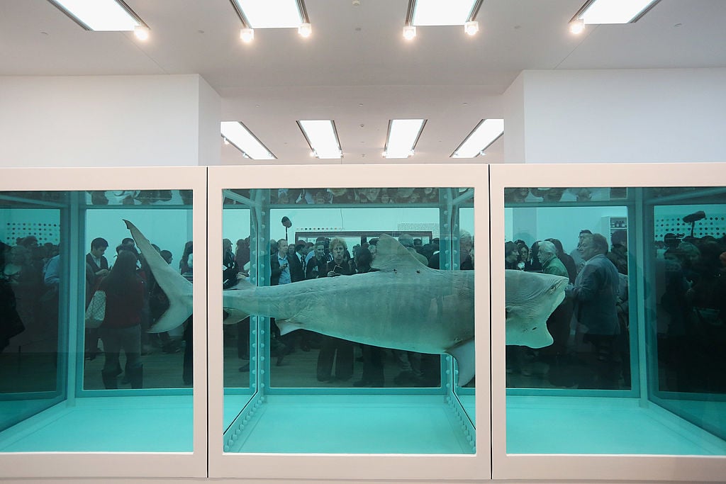 Damien Hirst's sculpture, The Physical Impossibility of Death in the Mind of Someone Living, of a dead shark suspended in formaldehyde.