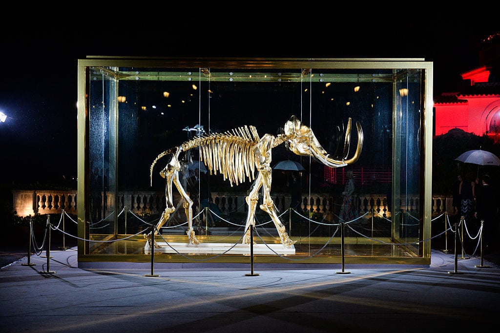 How Many Animals Have Died for Damien Hirst's Art to Live? We Counted.