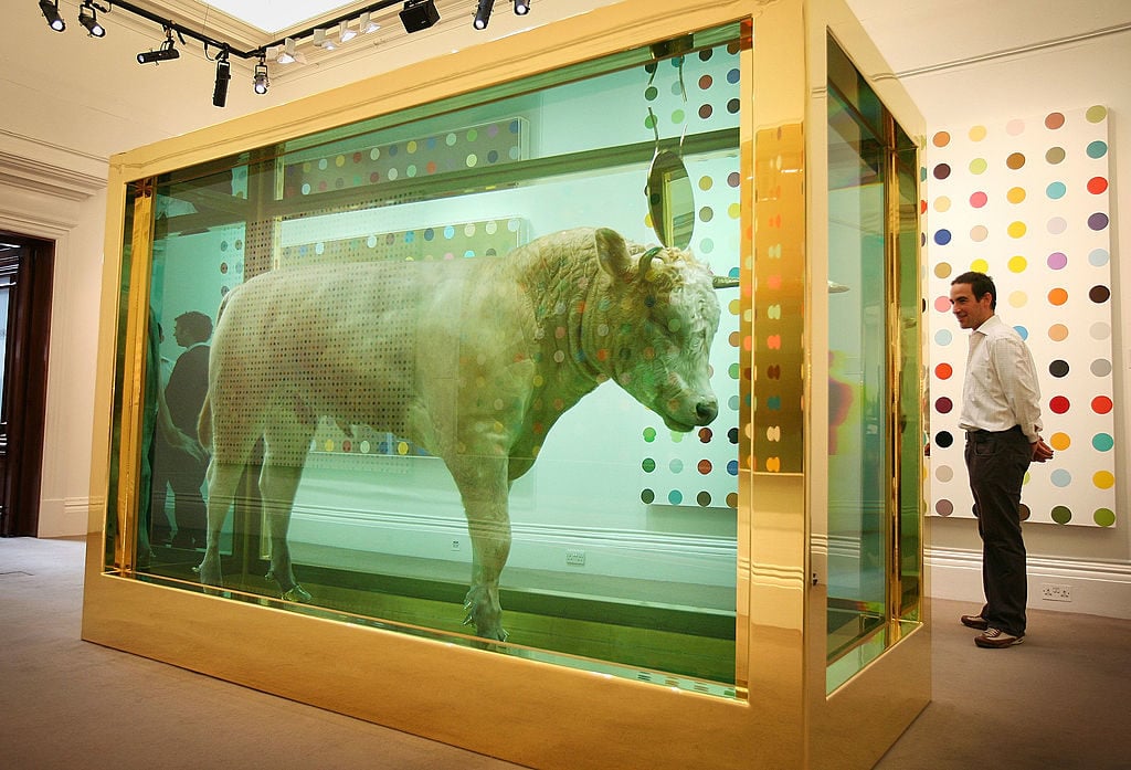 Damien Hirst's The Golden Calf on display before the "Beautiful Inside My Head Forever" Sale at Sotheby's in 2008. Photo courtesy of Peter Macdiarmid/Getty Images.