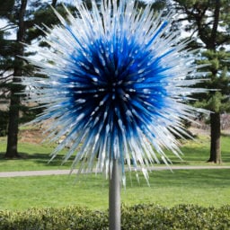 Dale Chihuly, Sapphire Star (2017). Courtesy the New York Botanical Garden, Photo By Ben Hider.
