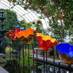Dale Chihuly, Macchia Forest(2017). Courtesy the New York Botanical Garden.