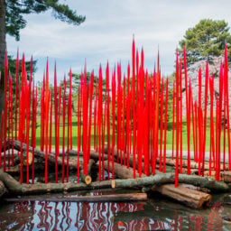 Dale Chihuly, Red Reeds on Logs (2017). Courtesy the New York Botanical Garden.