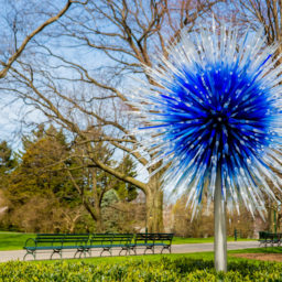 Dale Chihuly, Palazzo Ducale Tower (2017). Courtesy the New York Botanical Garden.Dale Chihuly, Sapphire Star (2017). Courtesy the New York Botanical Garden.