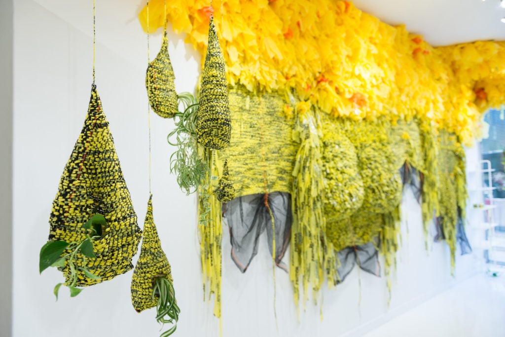"Borinquen Gallo: Like a Jungle Orchid for a Lovestruck Bee" installation view. Courtesy of Burning in Water.