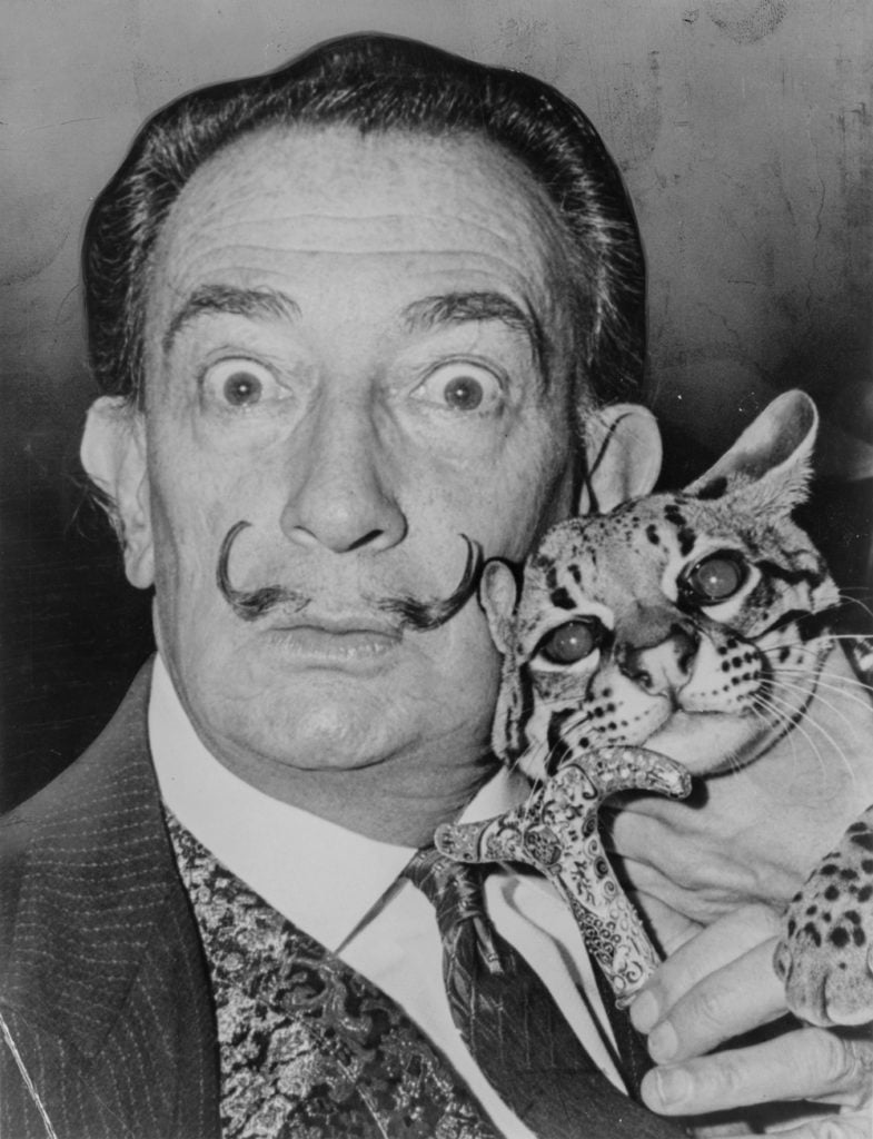 Salvador Dali with Babou the ocelot, and cane (1965). Photo: Roger Higgins, World Telegram staff photographer, © Library of Congress.