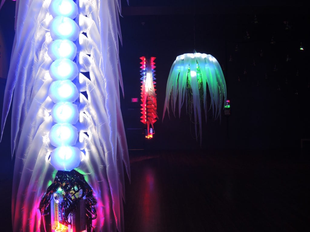 "Reusable Universes: Shih Chieh Huang" at the Worcester Museum, installation view. Courtesy of Sarah Cascone.