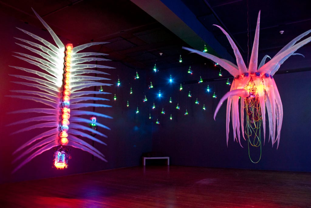 "Reusable Universes: Shih Chieh Huang" at the Worcester Museum, installation view. Courtesy of Shih Chieh Huang.