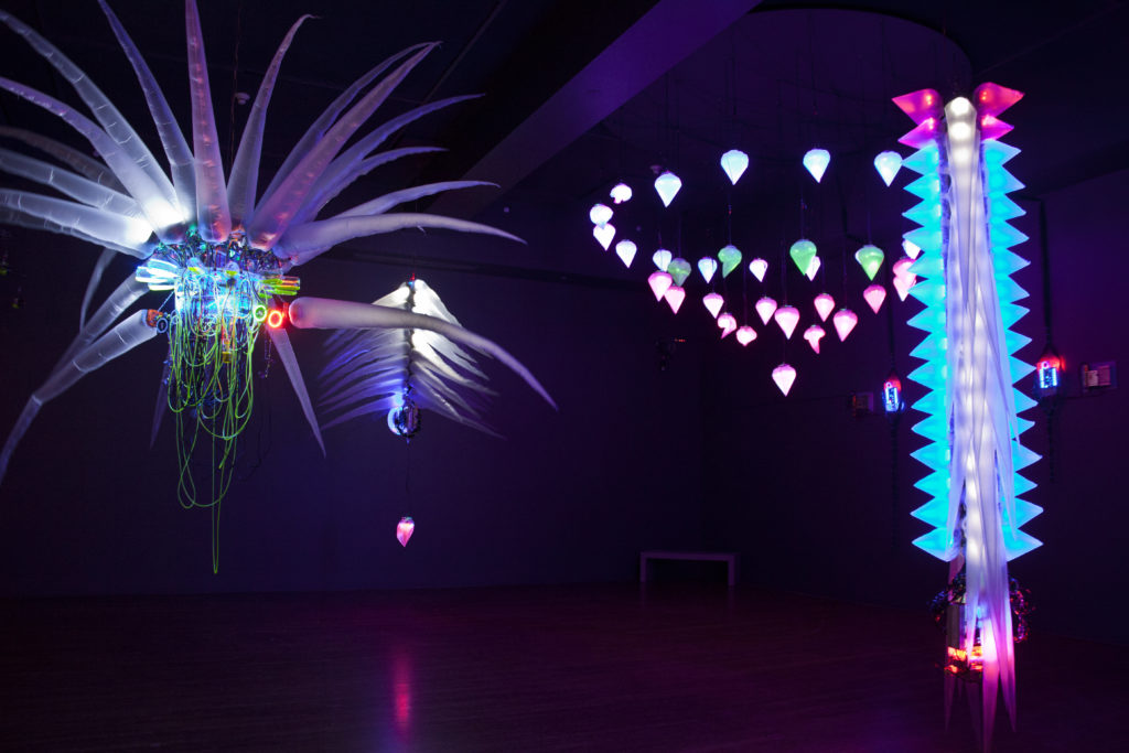 "Reusable Universes: Shih Chieh Huang" at the Worcester Museum, installation view. Courtesy of Shih Chieh Huang.