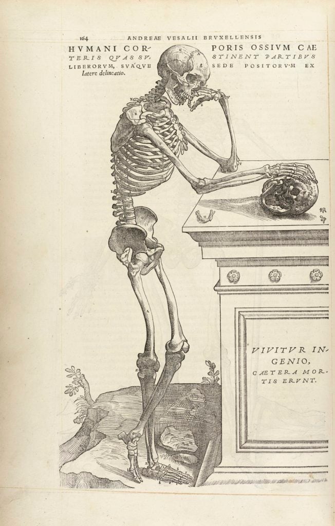 Andreas Vesalius, <i>De humani corporis fabrica libri septem ... A Human Skeleton Leaning Against a Tomb </i>(1543). Image courtesy of the Wellcome Library, London.