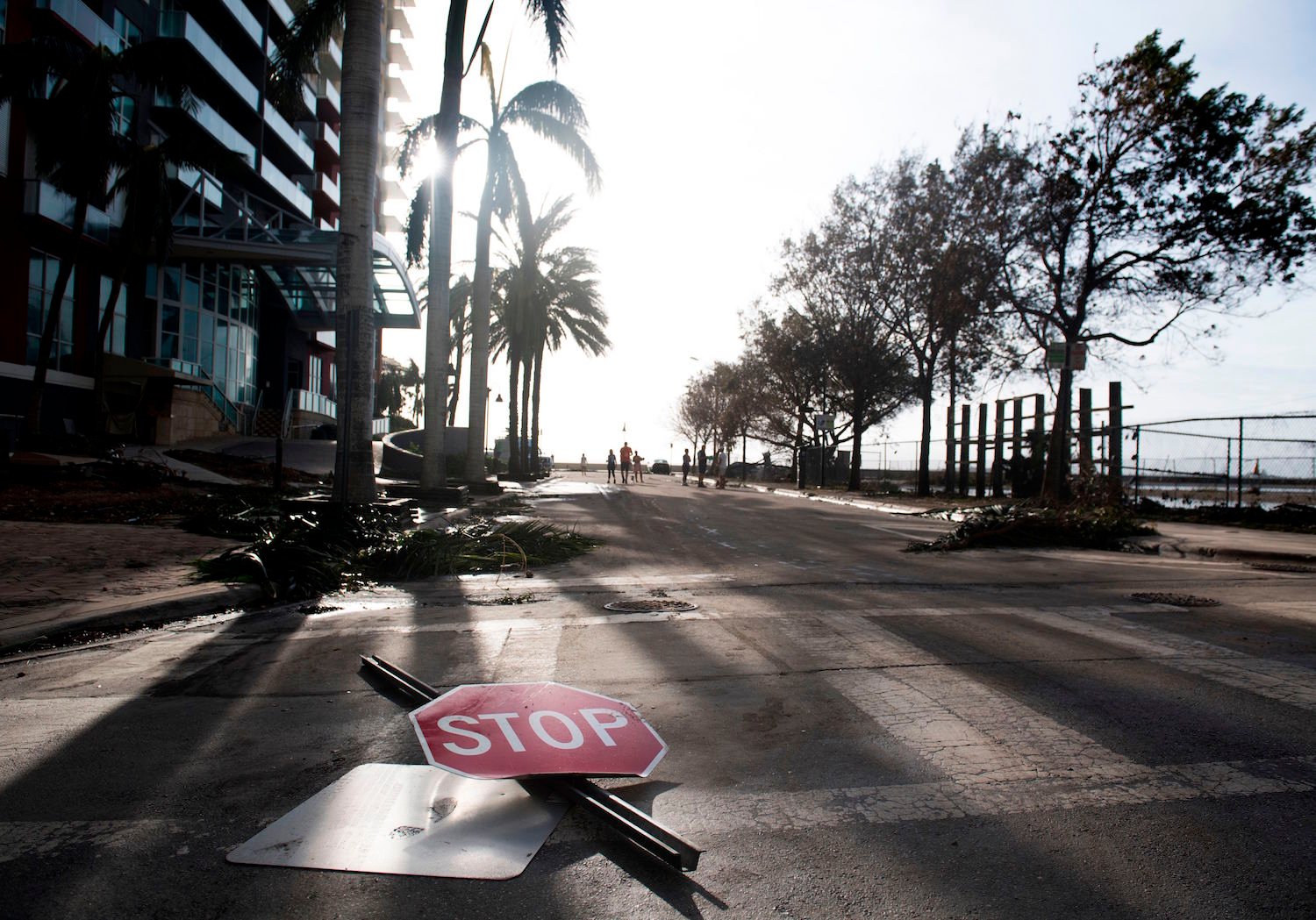 A stop signs sits in the street following Hurricane Irma in downtown Miami, Florida, September 11, 2017. Courtesy of Saul Loeb/AFP/Getty Images.