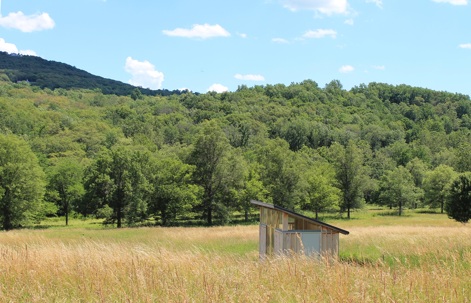 A studio at Shandaken: Storm King, 2017, courtesy Shandaken Projects.