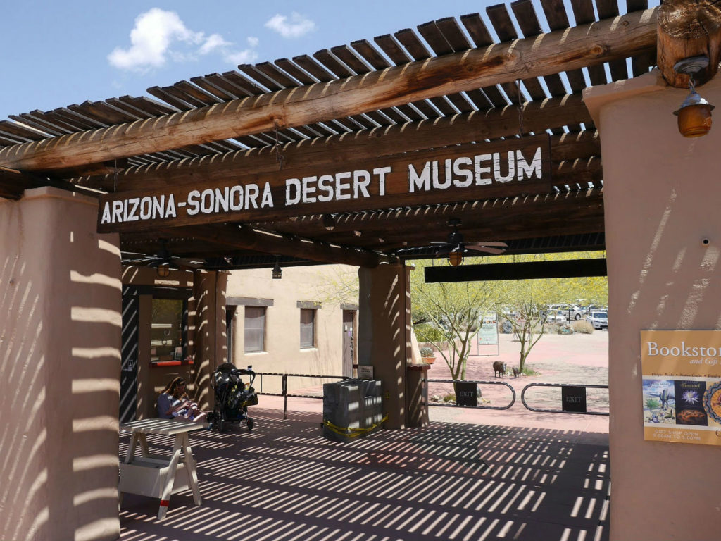 The Arizona-Sonora Desert Museum. Photo by Anna Irene.