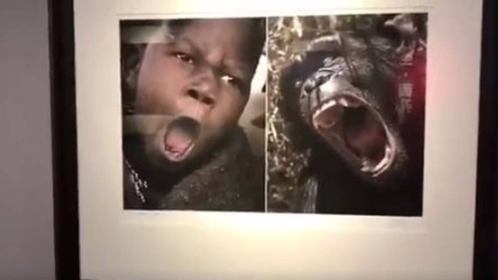 Yu Huiping's photographs that seem to compare black people and wild animals have been removed from a controversial exhibition. Screenshot courtesy of JloRocz/Twitter.