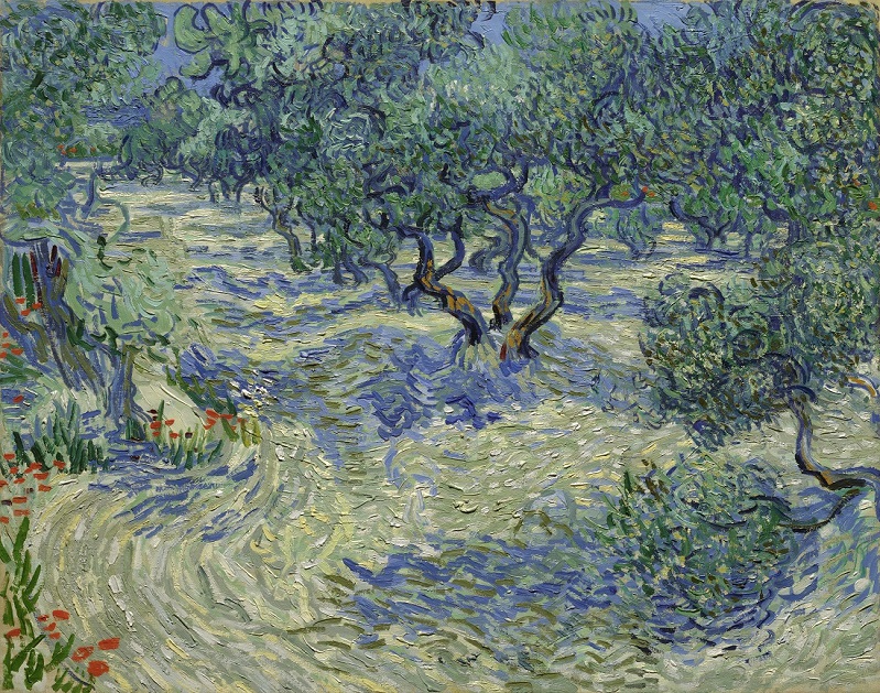 Vincent van Gogh's <i>Olive Trees</i> (1889). Image couresy of Nelson-Atkins Museum.