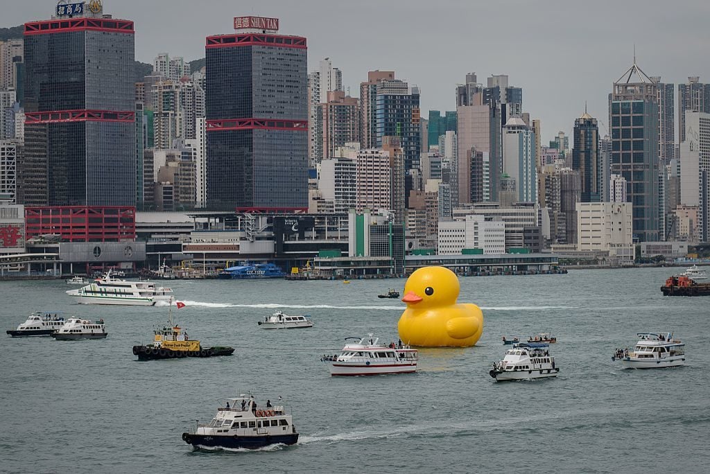 Florentijn Hofman's inflatable duck alit in Hong Kong during the summer of 2013. Photo: Philippe LopezAFP/Getty Images.