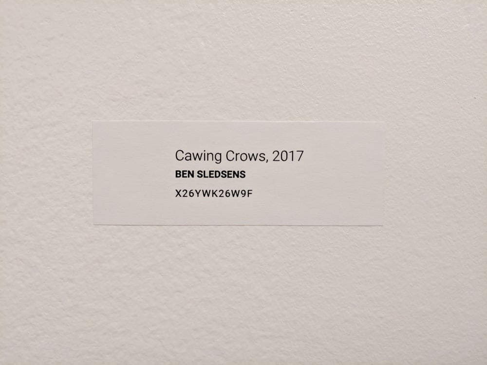 Label of Ben Sledsens' Cawing Crows, (2017). Courtesy of Art Düsseldorf.