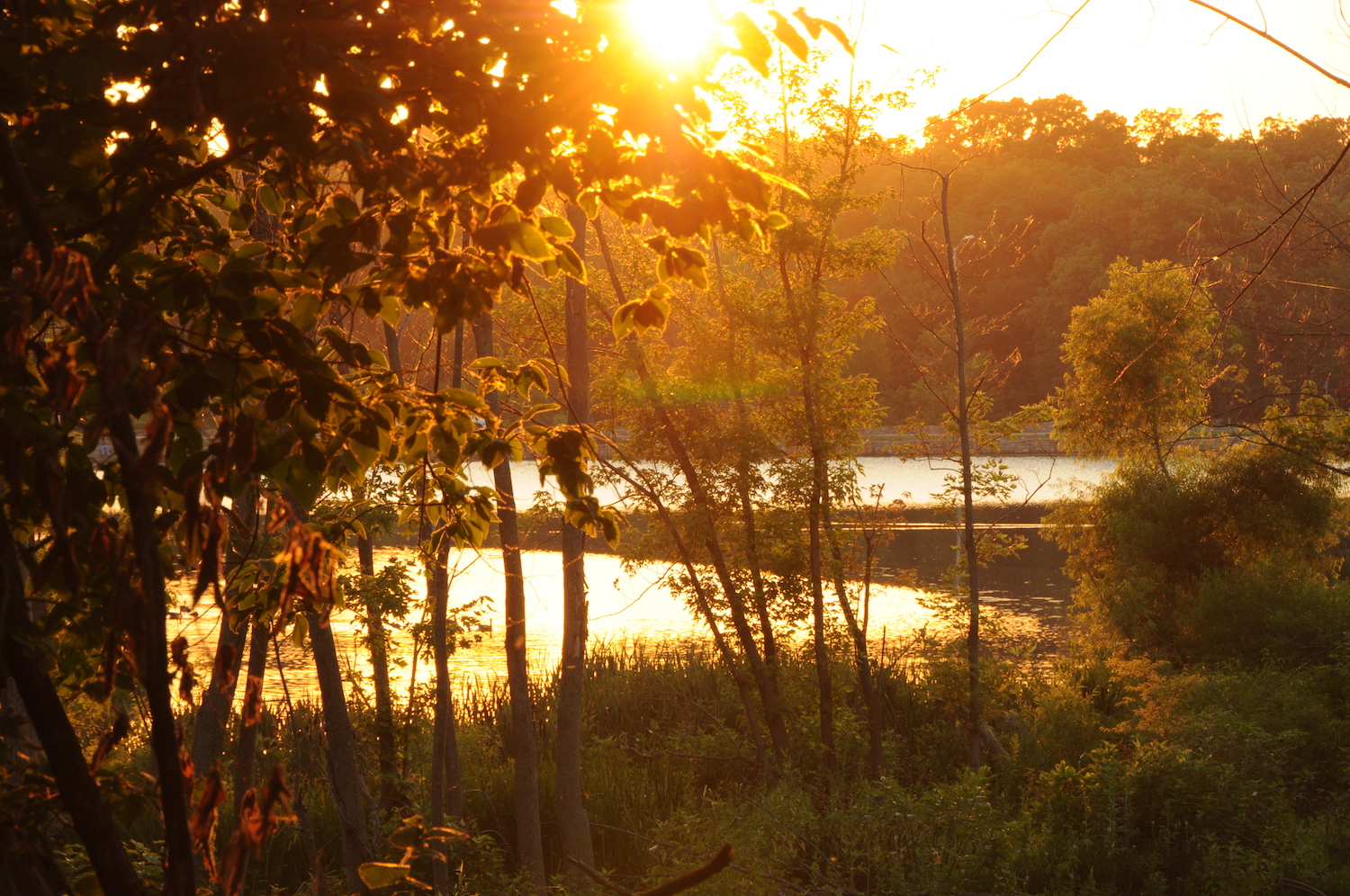 Swope Park in Kansas City. Photo courtesy of Open Spaces Kansas City.