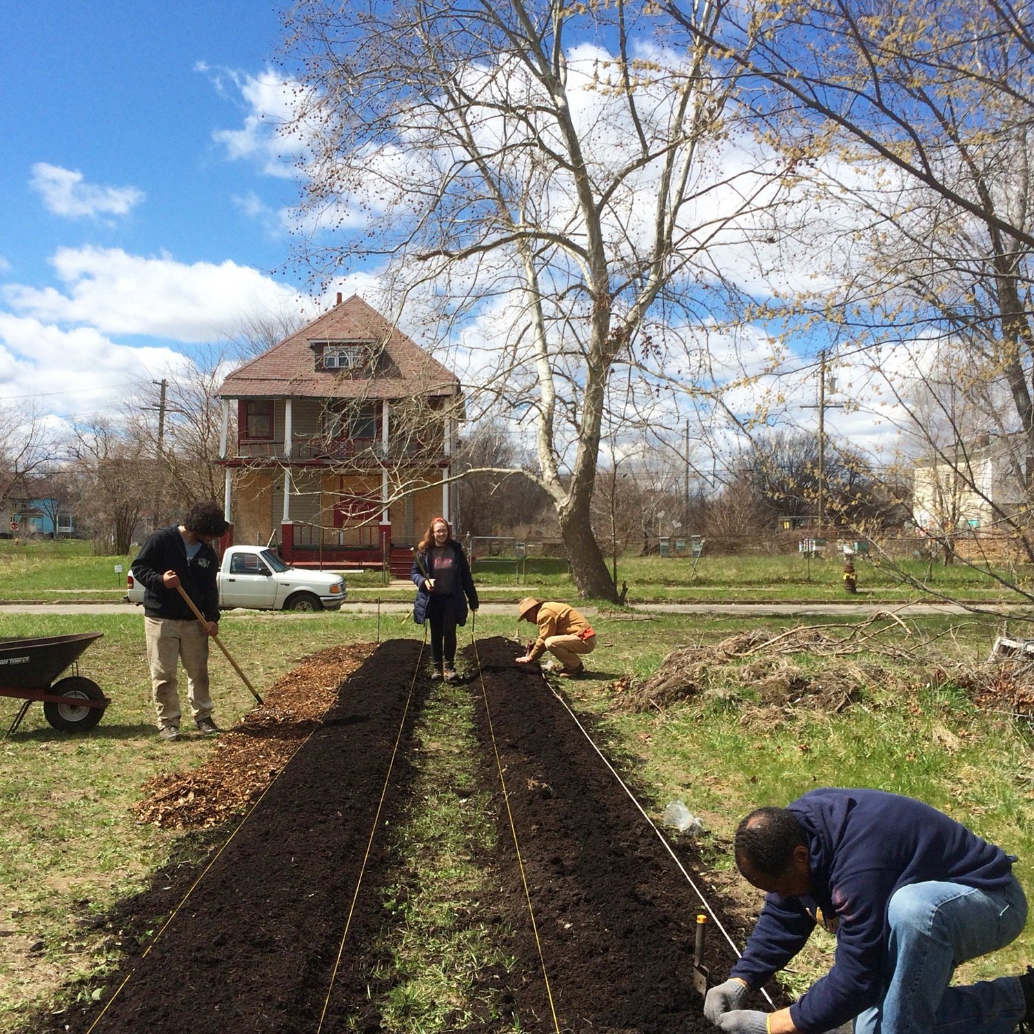 Strawberry planting at one of the neighborhood plots. Courtesy of Twitter.