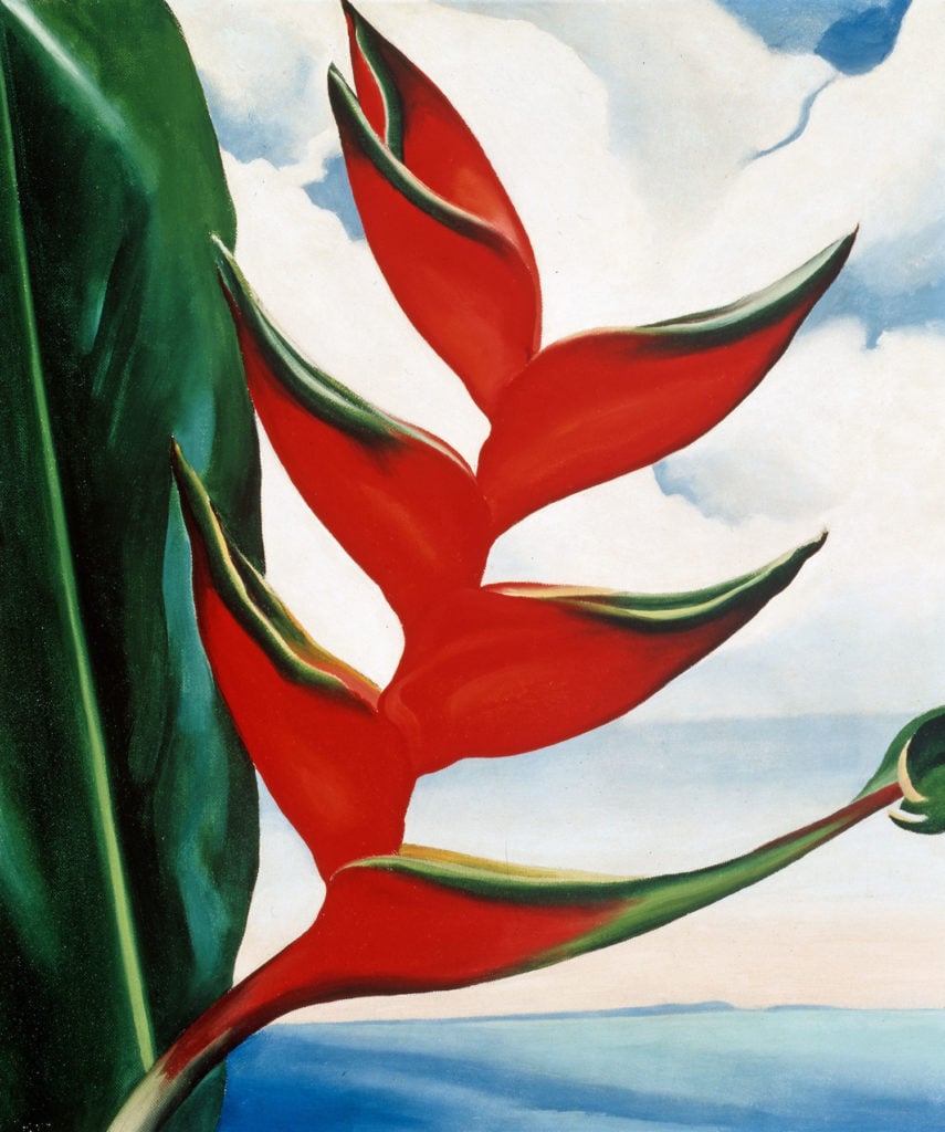 Georgia O'Keeffe, Heliconia, Crab’s Claw Ginger (1939). Courtesy of Sharon Twigg-Smith, © 2018 Georgia O’Keeffe Museum/Artists Rights Society (ARS), New York.
