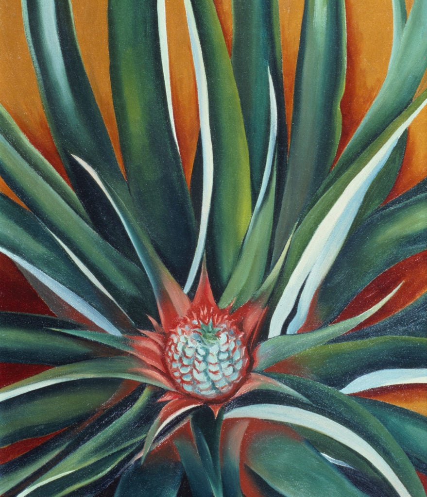 Georgia O'Keeffe, Pineapple Bud (1939). Courtesy of a private collection, © 2018 Georgia O’Keeffe Museum/Artists Rights Society (ARS), New York.