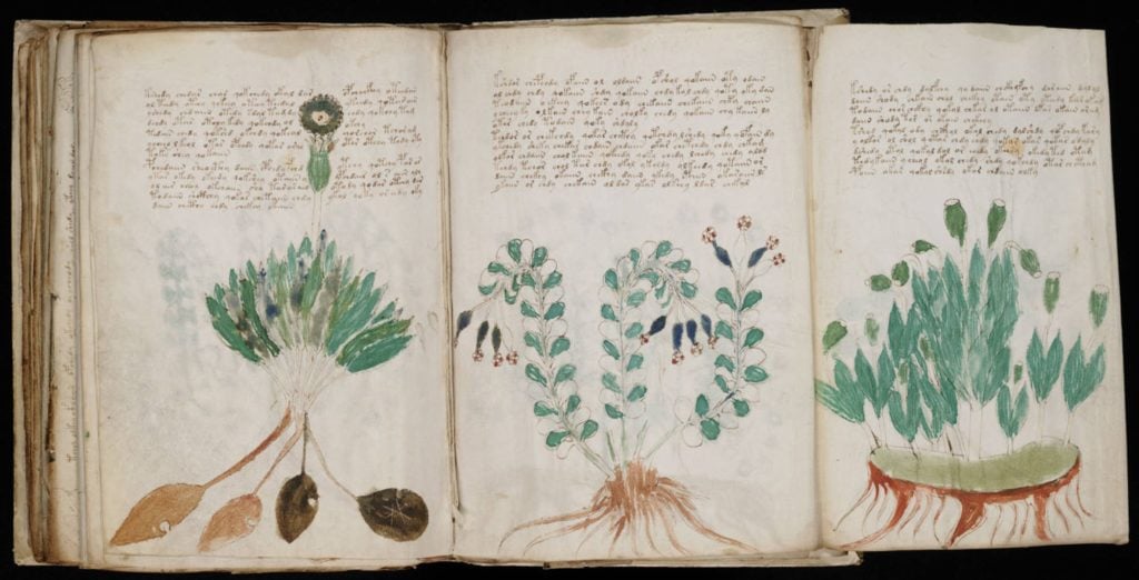 A page from the undecipherable Voynich Manuscript. Canadian computing scientists believe they are cracking the code with the help of artificial intelligence. Photo courtesy of Yale University's Beinecke Rare Book and Manuscript Library.
