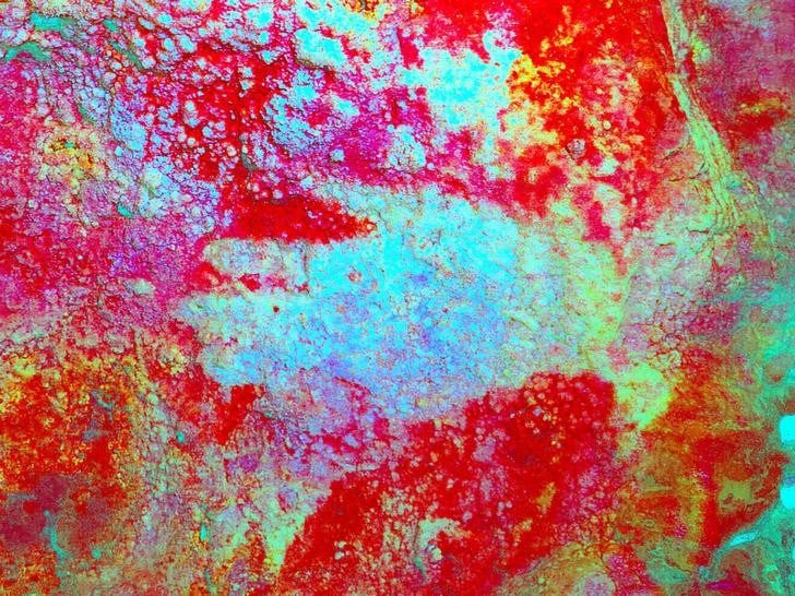A color-enhanced hand stencil from Spain's Maltravieso cave, likely made by a Neanderthal. Photo courtesy of the Univeristy of Southampton.