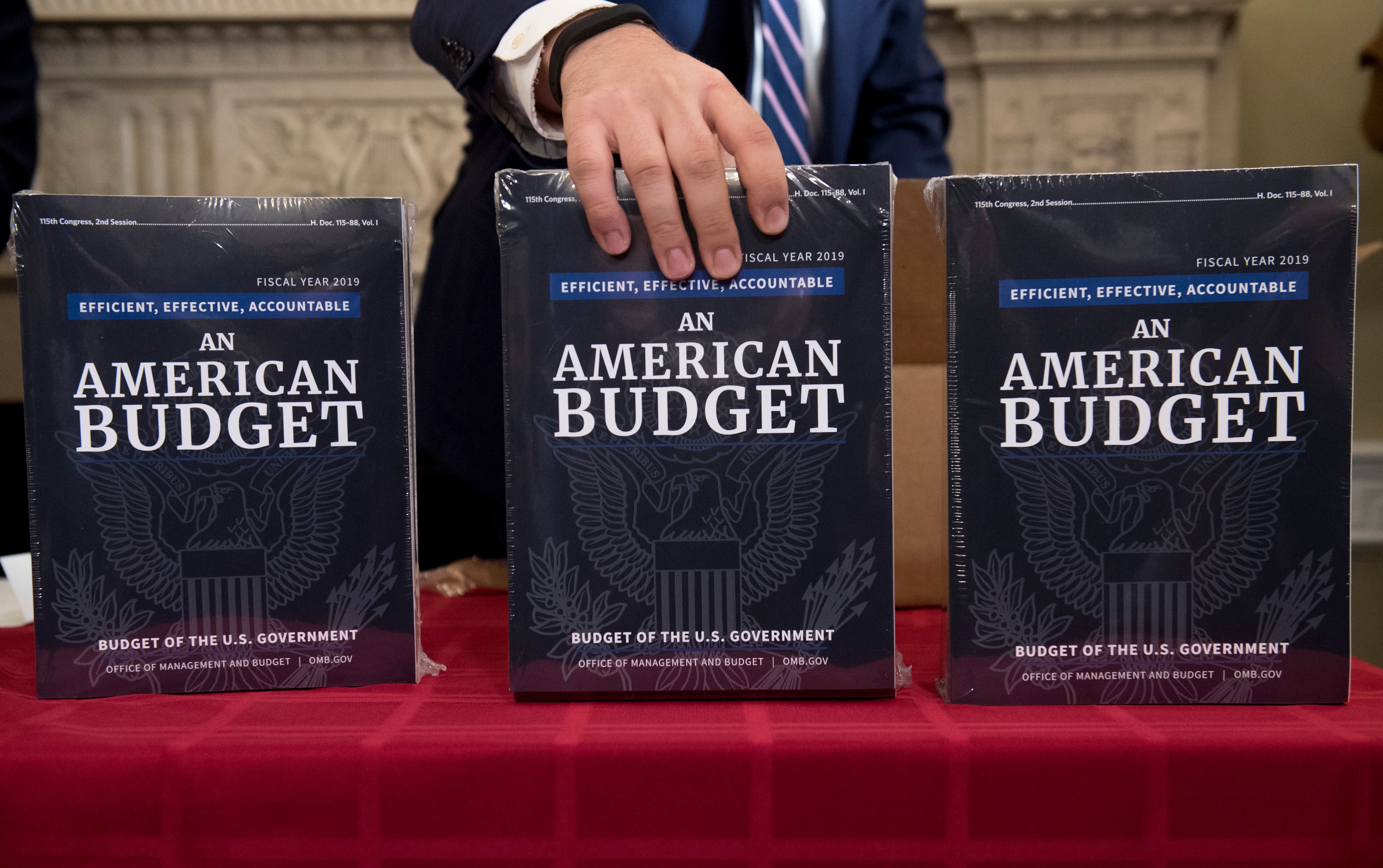 A Congressional staff member delivers copies of US President Donald Trump's Fiscal Year 2019 Government Budget at the House Budget Committee on Capitol Hill in Washington, DC, February 12, 2018. Photo Saul Loeb/AFP/Getty Images.