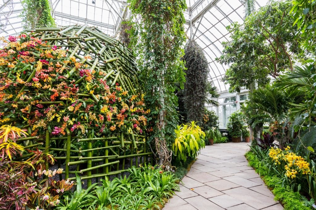 Installation view of "The Orchid Show" courtesy The New York Botanical Garden.
