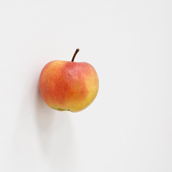 Karin Sander, Apple. Courtesy of Carolina Nitsch Project Room.
