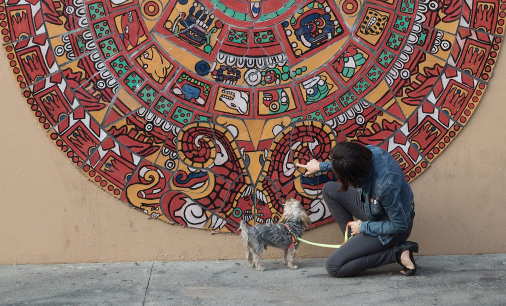 Rocky, canine co-curator of dOGUMENTA, tours the LA art scene ahead of the show's West Coast edition. Photo courtesy of dOGUMENTA.