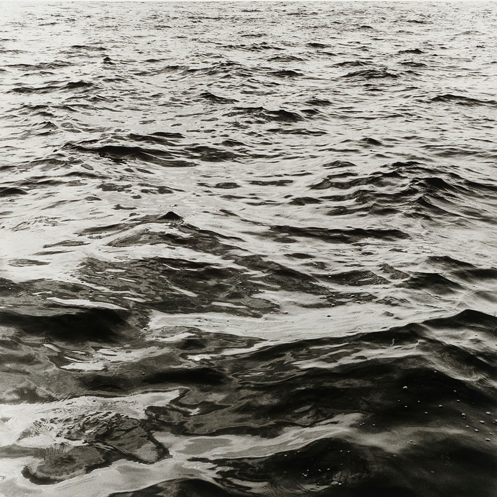 Peter Hujar, Hudson River, 1975, gelatin silver print, purchased on The Charina Endowment Fund, The Morgan Library & Museum, 2013.108:1.54. © Peter Hujar Archive, LLC, courtesy Pace/MacGill Gallery, New York and Fraenkel Gallery, San Francisco. 