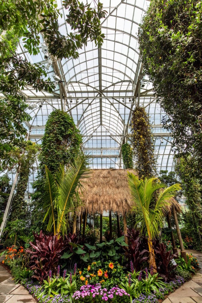 “Georgia O’Keeffe: Visions of Hawai’i” at the New York Botanical Garden. Photo courtesy of the New York Botanical Garden.