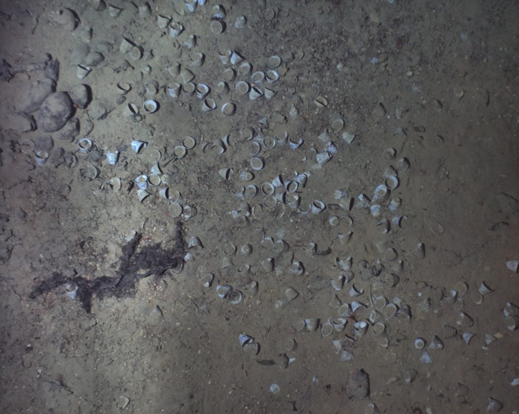 Teacups at the site of the San Jose shipwreck. Photo courtesy of REMUS image and the Woods Hole Oceanographic Institution.
