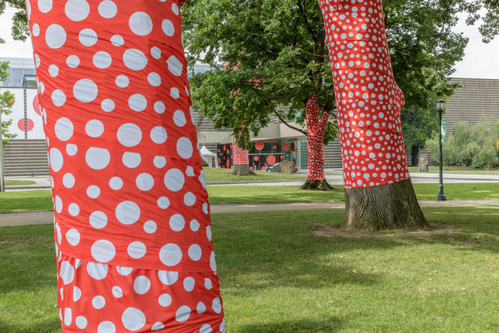 Installation views of Yayoi Kusama, <em>Ascension of Polkadots on the Trees</em> at the Cleveland Museum of Art. Photo by David Brichford, courtesy of the Cleveland Museum of Art, ©Yayoi Kusama.