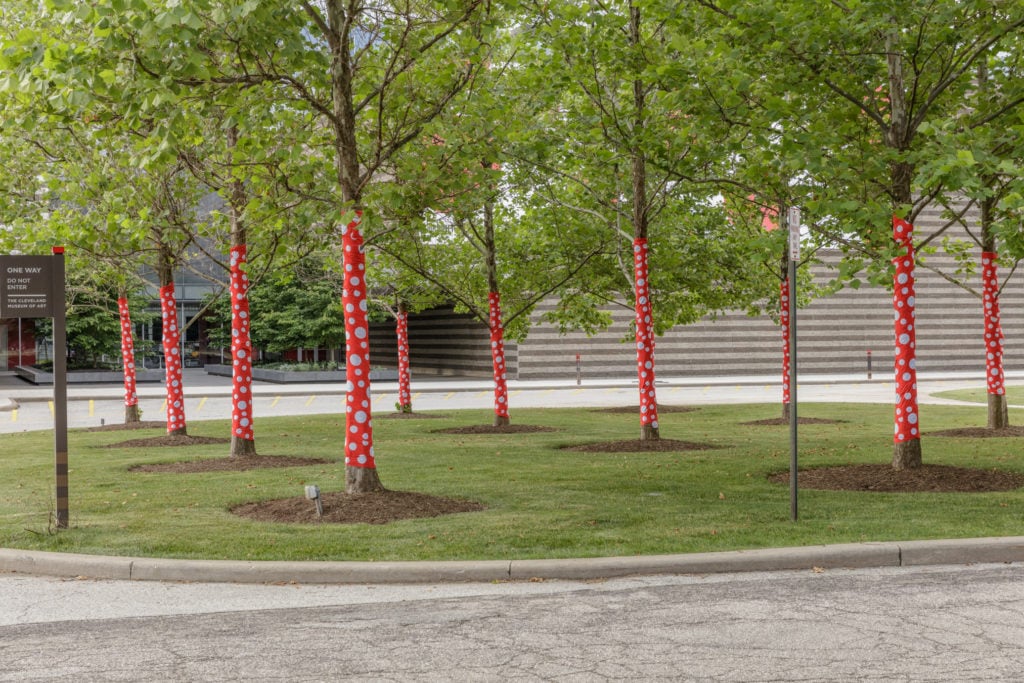Installation views of Yayoi Kusama, Ascension of Polkadots on the Trees at the Cleveland Museum of Art. Photo by David Brichford, courtesy of the Cleveland Museum of Art, ©Yayoi Kusama.