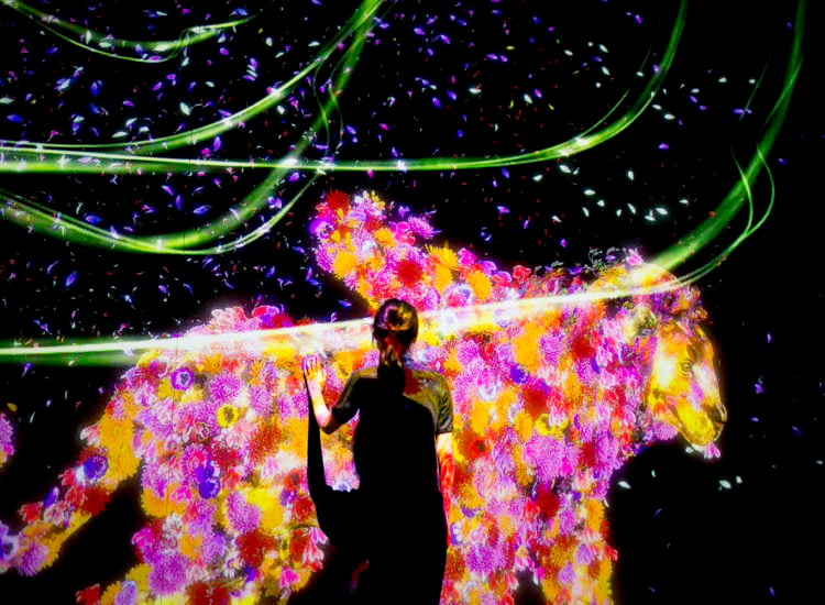 Behold the Technicolor Playground That Is teamLab’s New Digital Art Museum