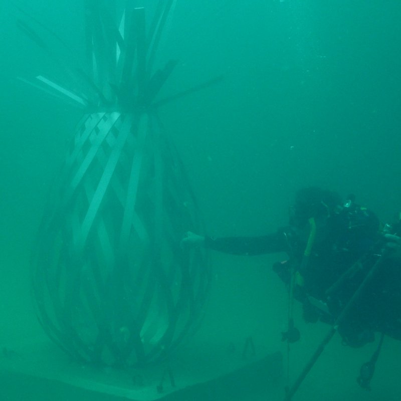 Rachel Herring, <em>The Grayt Pineapple</em> at the Underwater Art Museum. Photo courtesy of the Underwater Art Museum. 
