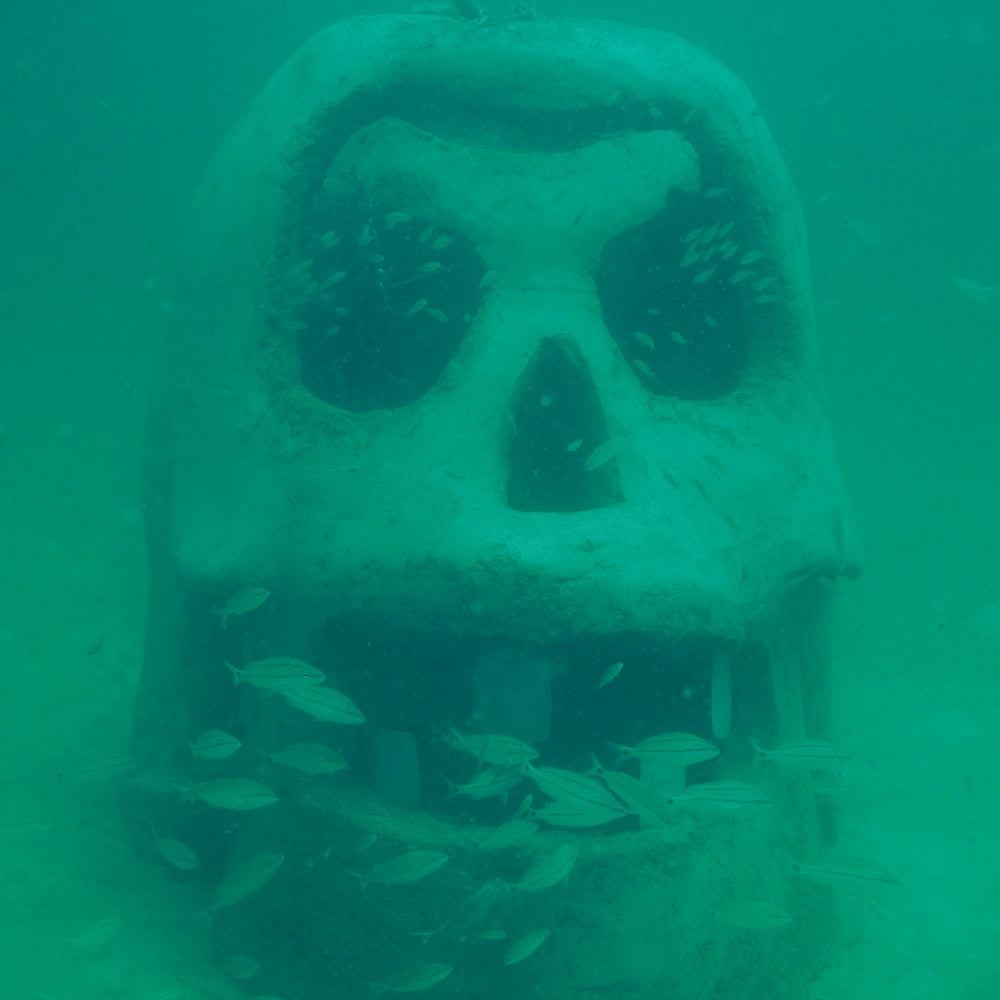 Vince Tatum, <em>SWARA Skull</em> at the Underwater Art Museum. Photo courtesy of the Underwater Art Museum. 