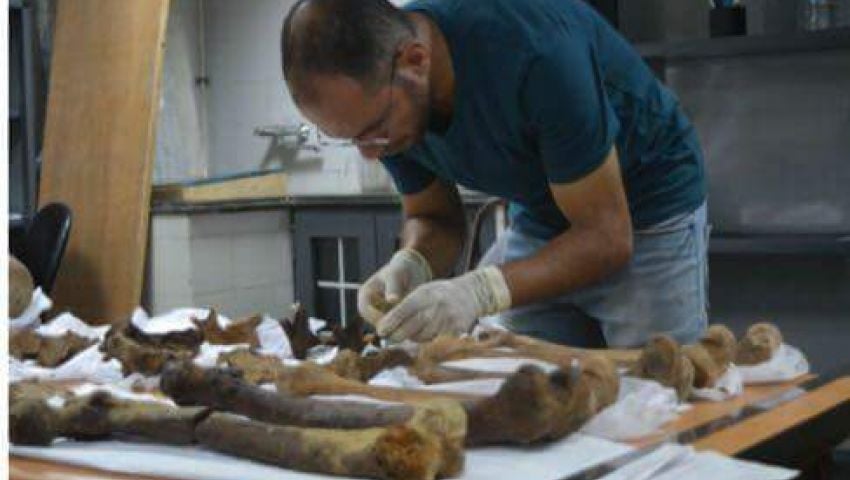 An expert examines the contents of a recently discovered sarcophagus some hoped held the remains of Alexander the Great. Photo courtesy of the Egyptian Ministry of Antiquities.
