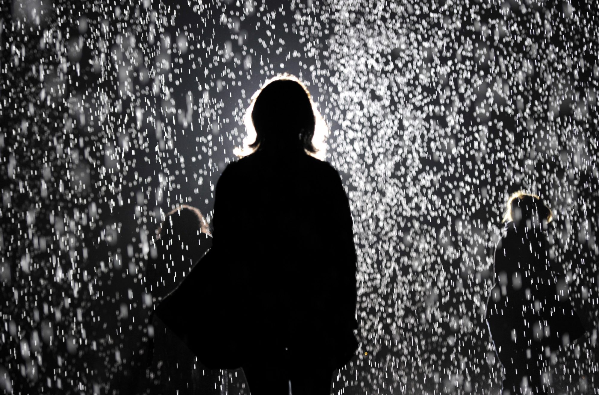 MoMA PS1 presented Random International's Rain Room in 2013 as a major component of "EXPO 1: New York," curated by Klaus Biesenbach. (TIMOTHY CLARY/AFP/Getty Images)