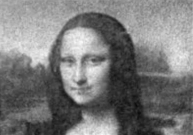 Scientists grew this portrait of Leonardo da Vinci's <em>Mona Lisa</em> from genetically altered, light-sensitive E. coli bacteria. Photo courtesy of the Università di Roma "Sapienza", Italy; Institute of Nanotechnology (NANOTEC-CNR), Italy.