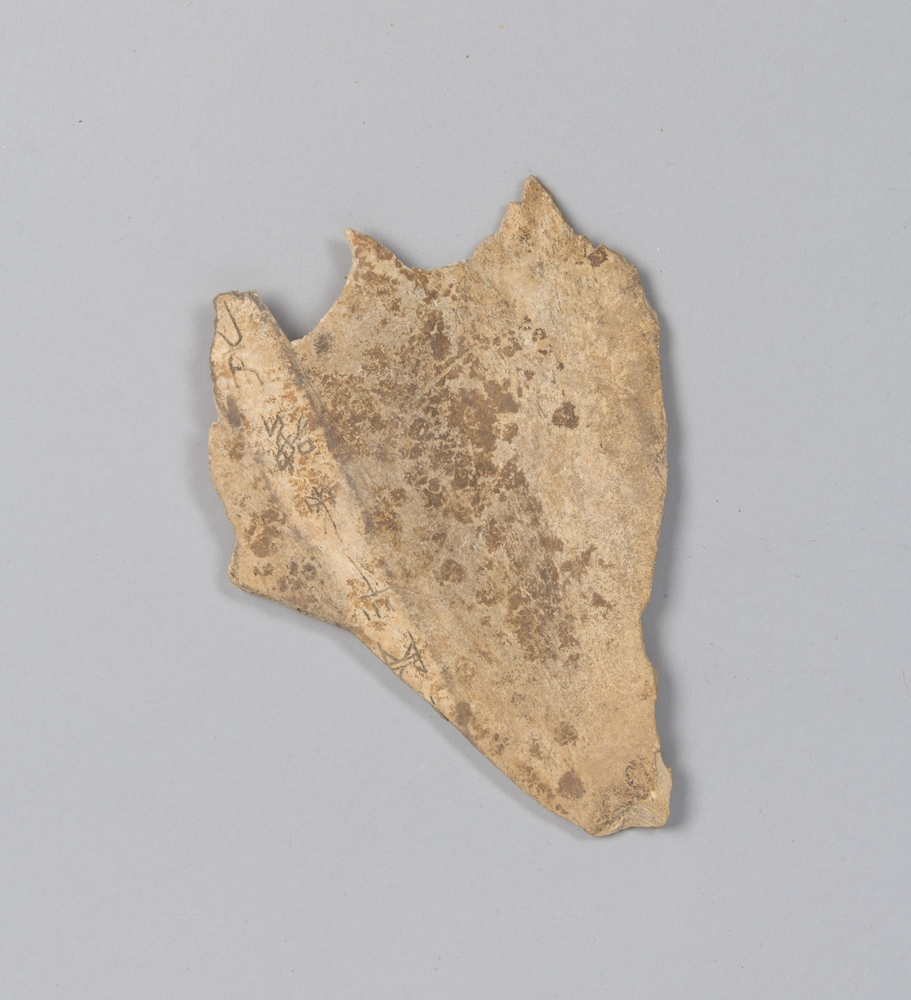 Oracle bones China (circa 1600–1046 BC). Photo courtesy of the Metropolitan Museum of Art.