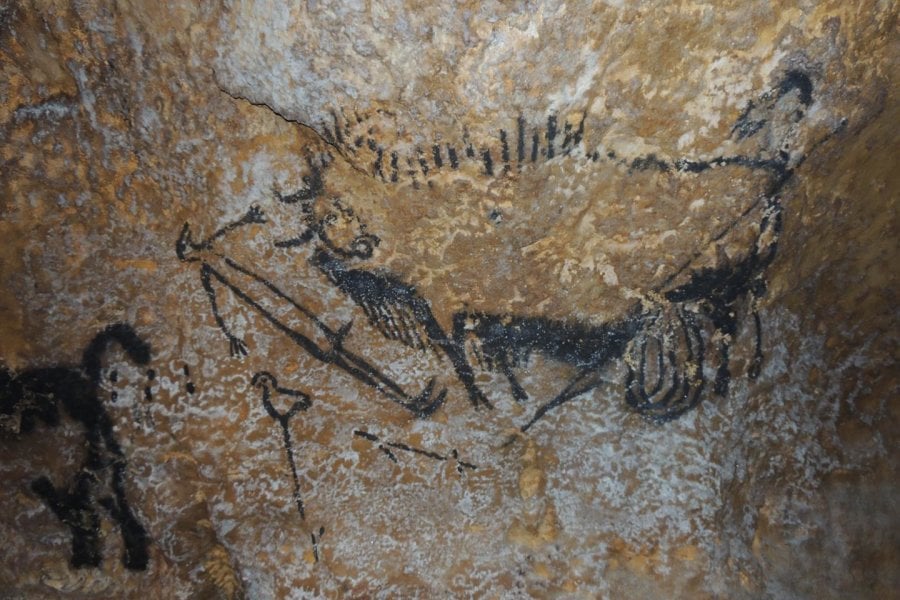 Some of the world's oldest cave paintings have revealed how ancient people had relatively advanced knowledge of astronomy. Animal symbols represent star constellations in the night sky, and are used to mark dates and events such as comet strikes, analysis from the University of Edinburgh suggests. Photo by Alistair Coombs.