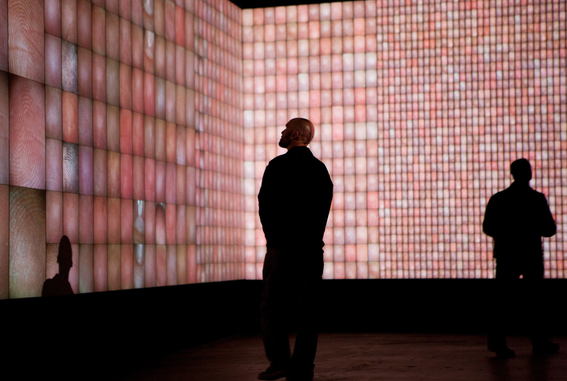 Rafael Lozano-Hemmer, Pulse Index (2010). Photo by Kate Russel, courtesy of Site Santa Fe, New Mexico.