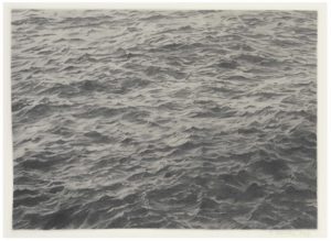 Vija Celmins’s Process Is Slow, Steady, and Methodical. So Is the ...